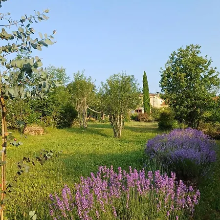 La Treille Independante Douillette Calme Et Nature Itzac