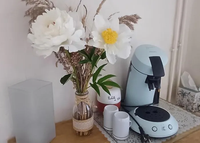 Indépendante, Au Calme Douillette Et Confort Casa rural Itzac